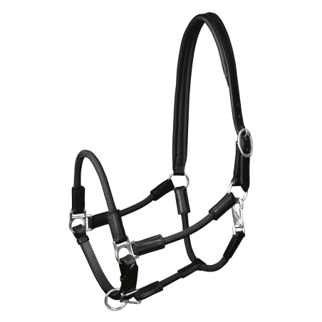 Cabezada Waldhausen Nevada