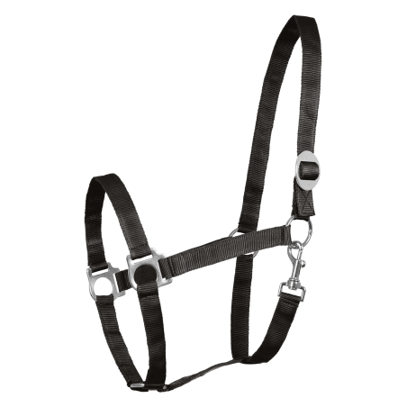 Cabezada Waldhausen Perlon