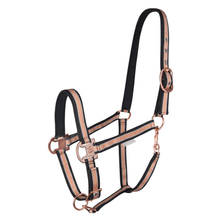 Cabezada Waldhausen Shine