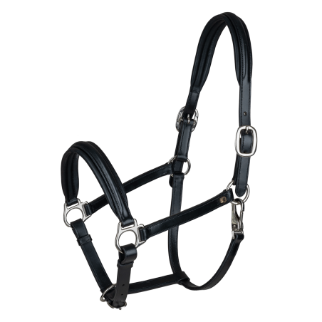 Cabezada de cuero Waldhausen Classy X-Line