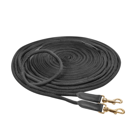 Longe doble Waldhausen