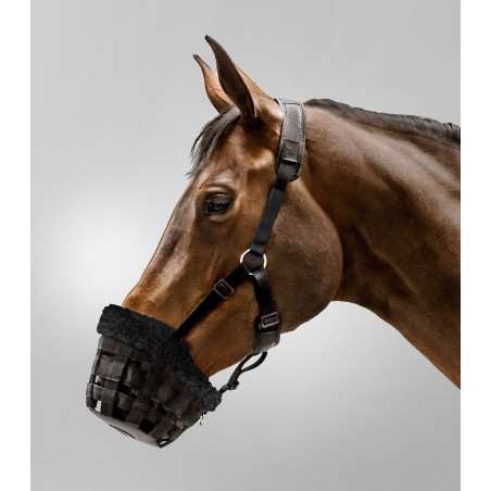 Cesta Waldhausen Comfort