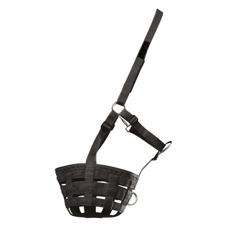 Cesta de pasto Waldhausen