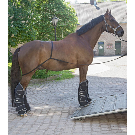 Rampa Waldhausen camión