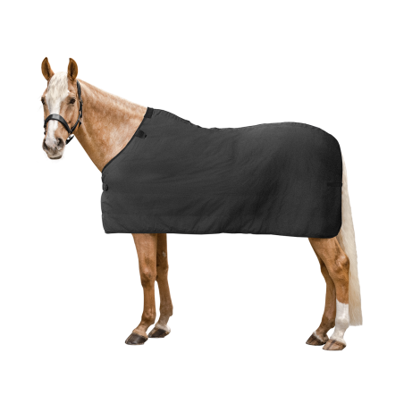 Manta polar interior Waldhausen