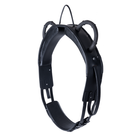 Cinchón de volteo Waldhausen