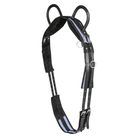 Cinchuelo Waldhausen 2 asas