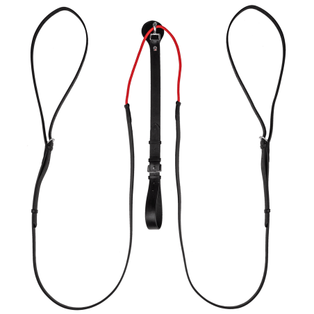 Riendas triangulares W-train Waldhausen