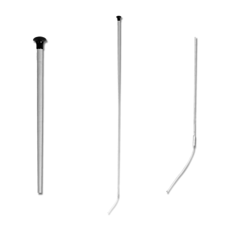 Badina Linda Tellington-Jones