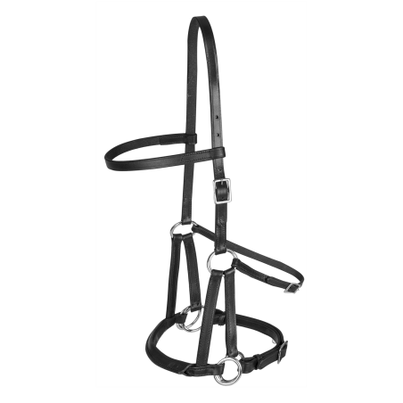 Brida sin bocado Linda Tellington-Jones