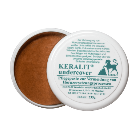 Mantenimiento horquilla Keralit