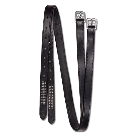 Estribos Silverstar Star