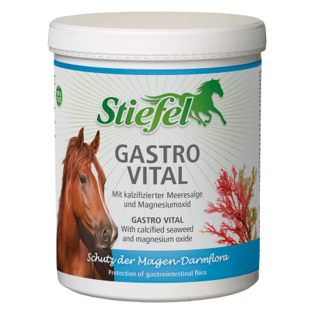 Gastro Vital Bota