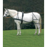 Arnés Star simple Economic de cob a caballo grande - Negro
