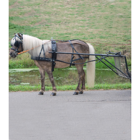 Arnés Star simple Económico para poni shetland