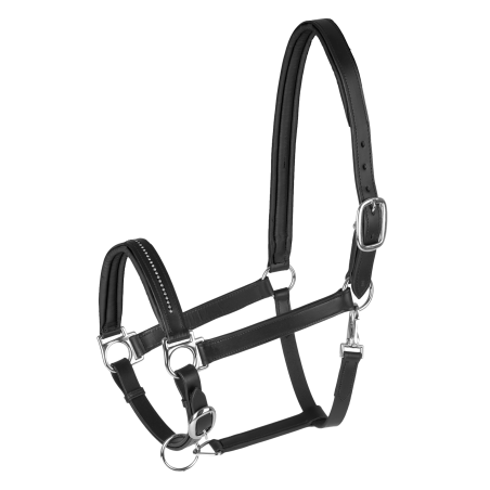 Cabezada de cuero Star Diamond