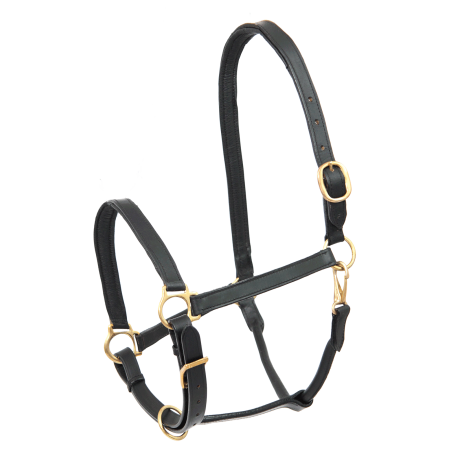 Cabezada de cuero Star Robust