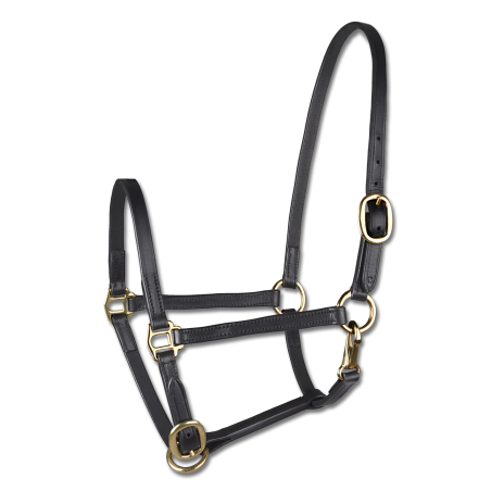 Cabezada de presentación de cuero Star para potro