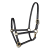 Cabezada de presentación de cuero Star para potro - Negro