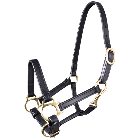 Cabezada de cuero Star potro