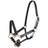 Cabezada de cuero Star potro - Negro