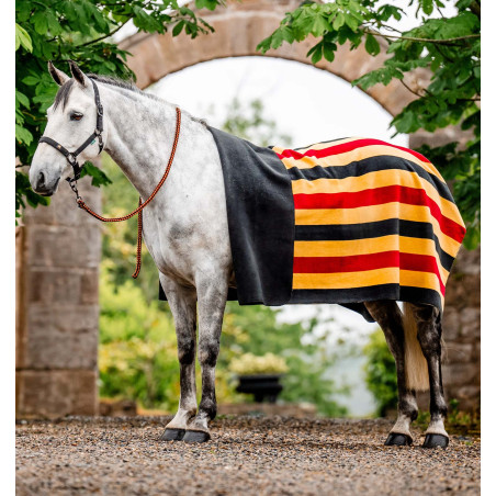 Cuadro polar Horseware Newmarket