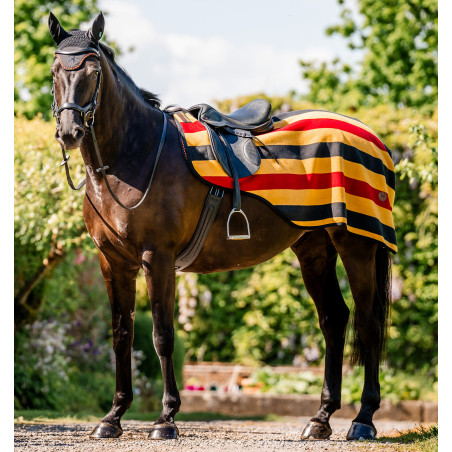 Manta polar para grupa Horseware Newmarket