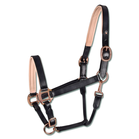 Cabezada de cuero Rosé Waldhausen X-Line