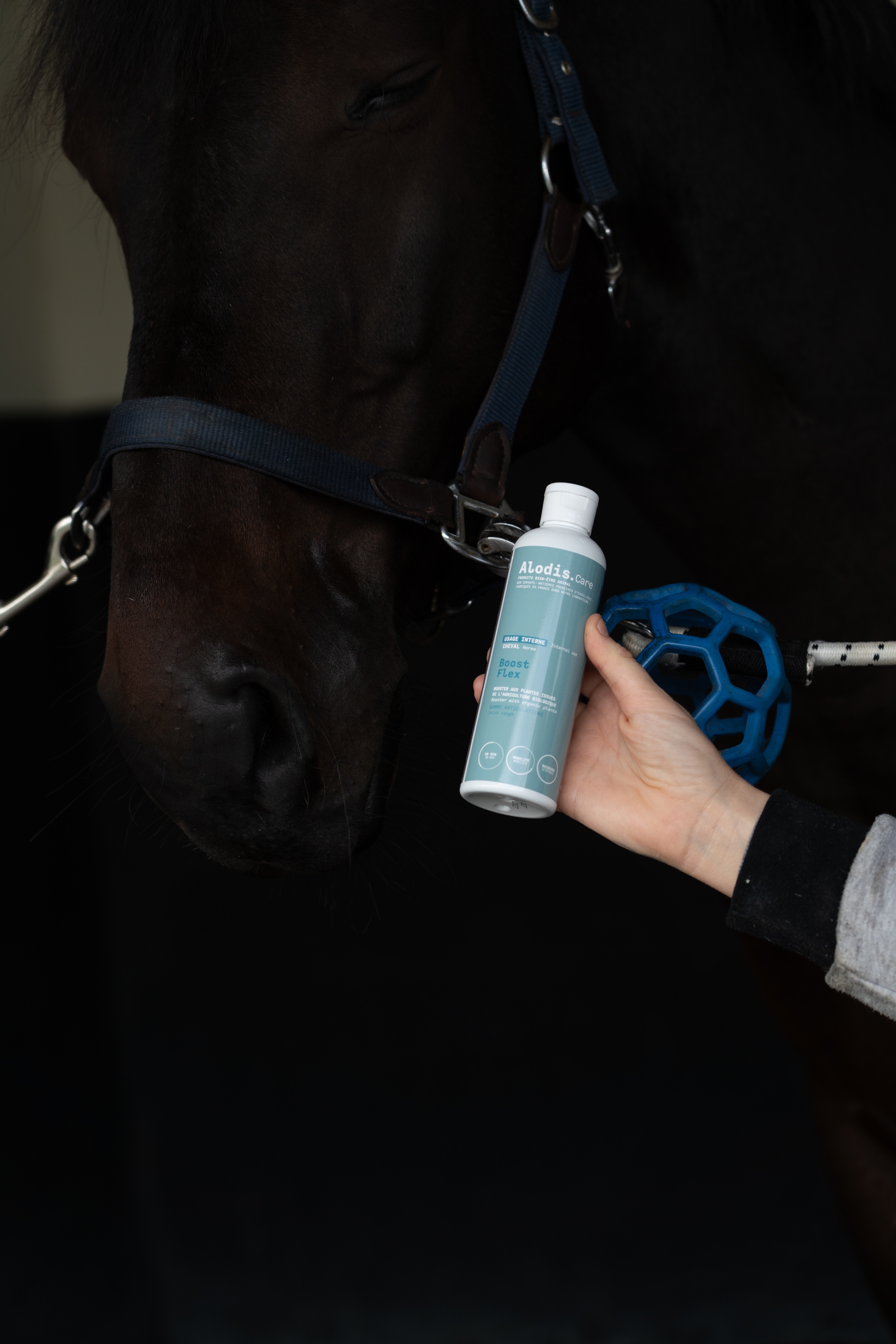 Alimento complementario...