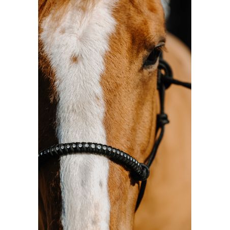 Cabezada etológica de nailon Norton Diams