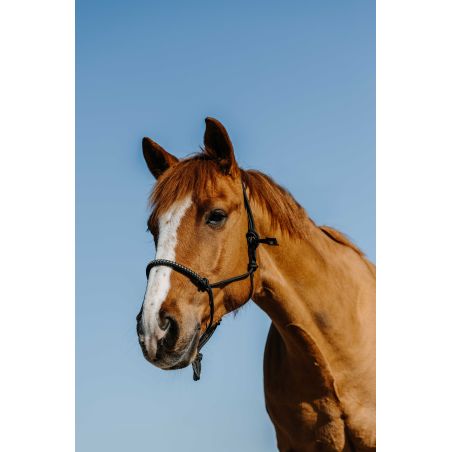 Cabezada etológica de nailon Norton Diams