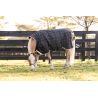 Manta Horseware Amigo 1200D Poney Turnout 0g - Negro / gris titanio / plata