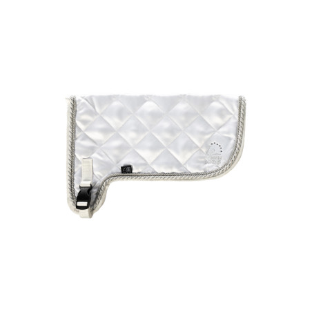 Cobertura torneo HKM Hobby Horsing