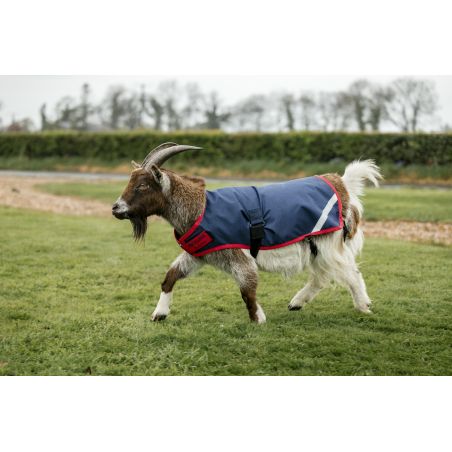 Cobertura para cabra Horseware 0g