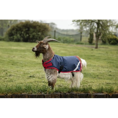 Manta para cabra Horseware 200g