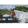 Cubrecuello antimoscas Horseware Amigo Bug Rug - Plata / gris titanio / plata