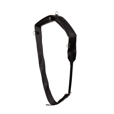 Cinchón de paseo Kentucky de nailon