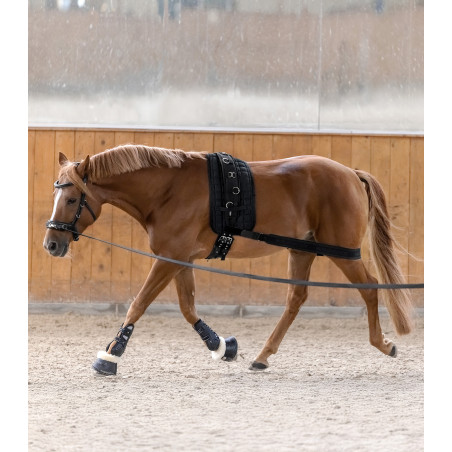 Vendaje corporal Waldhausen para la grupa