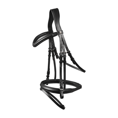 Brida Waldhausen X-Line London muserola combinada