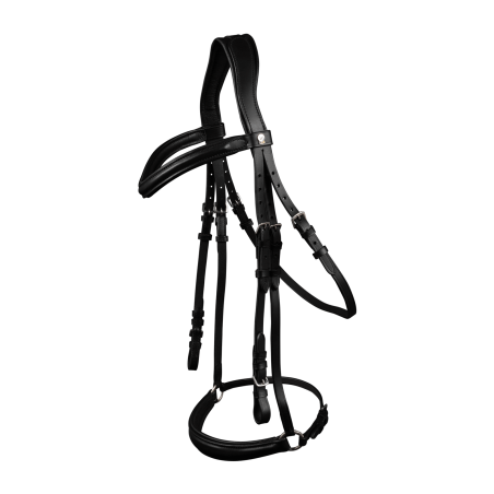 Brida Waldhausen X-Line London con muserola alemana