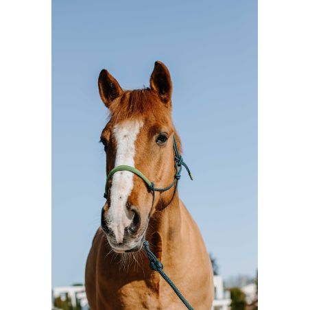 Cuerda etológica + ramal Norton Suecia