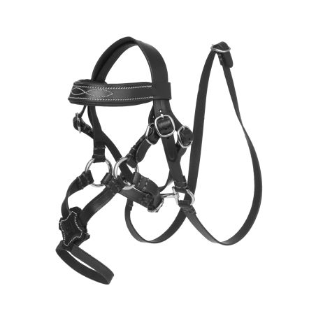 Cabezada con muserola cruzada LeMieux Toy Pony