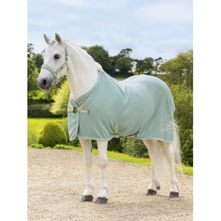 Camiseta secante de bambú Kudos LeMieux