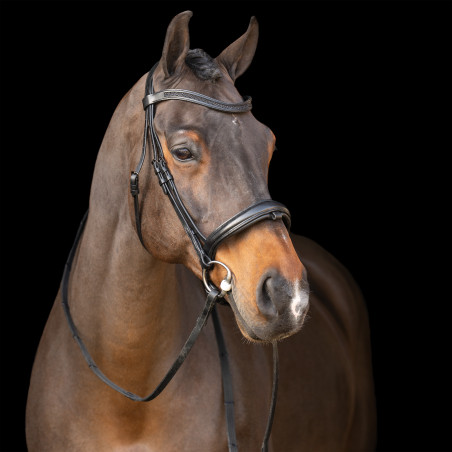 Brida con muserola inglesa Imperial Riding