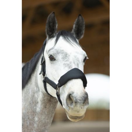 Conjunto de cabezada ergonómica de malla y ramal ProConfort Dorai