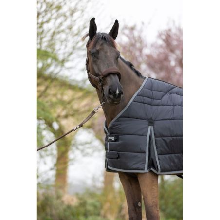 Forro ergonómico 300G ProConfort Gab