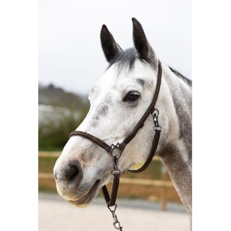 Cabezada de grooming ProConfort Dialou