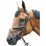 Cabezada Royan Cruz Privilege Equitation