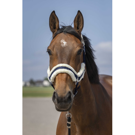 Cabezada de cuadra EQUITHÈME Nylon Mouton