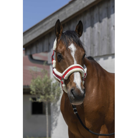 Cabezada Norton Cosy